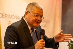 Đại biện Đại sứ quán Việt Nam tại Bồ Đào Nha Nguyễn Mạnh Thắng. (Ảnh: TTXVN phát)