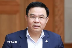 Ông Lê Mạnh Hùng, Quyền Bộ trưởng Bộ Công Thương làm Phó Trưởng ban thường trực thay thế ông Nguyễn Hồng Diên. (Ảnh: Dương Giang/TTXVN)