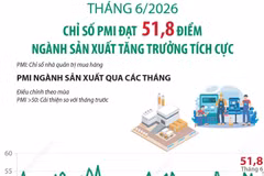 PMI tháng 6 đạt 51,8 điểm, ngành sản xuất tăng trưởng tích cực
