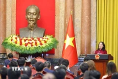 Phó Chủ tịch nước Võ Thị Ánh Xuân phát biểu tại buổi gặp mặt. (Ảnh: Minh Đức/TTXVN)