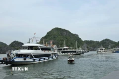 Tàu chờ đón khách tham quan Vịnh Lan Hạ tại Bến tàu khách du lịch Cái Bèo. (Ảnh: Minh Thu/TTXVN)