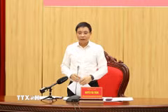 Phó Thủ tướng Chính phủ Nguyễn Văn Thắng phát biểu tại buổi làm việc. (Ảnh: Đức Phương/TTXVN)