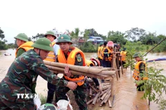 Khẩn trương khắc phục sự cố vỡ đê bối sông Cầu. (Ảnh: Trần Trang/TTXVN)