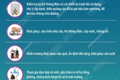 Hướng dẫn kỹ năng an toàn sau bão cho cộng đồng dân cư