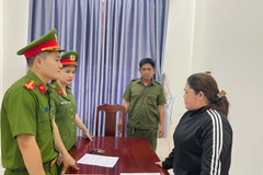 Trần Thị Tuyết Anh bị khởi tố, bắt tạm giam về hành vi trốn thuế. 