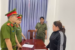 Trần Thị Tuyết Anh bị khởi tố, bắt tạm giam về hành vi trốn thuế. 