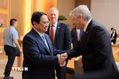 Thủ tướng Phạm Minh Chính làm việc với Đoàn Hội đồng kinh doanh Hoa Kỳ-ASEAN. (Ảnh: Dương Giang/TTXVN)