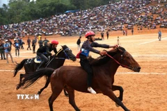Những pha bứt tốc ấn tượng trên đường đua tại Giải đua ngựa xã Phù Lưu (tỉnh Tuyên Quang) tạo nên không khí sôi động, hấp dẫn. (Ảnh: Minh Tâm/TTXVN)