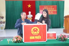 Cử tri Hà Tĩnh đi bầu cử. (Ảnh: Hoàng Ngà/TTXVN)