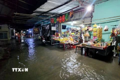 Nước từ sông tràn qua đường nhựa vào nhà dân (phường Tân Hạnh, tỉnh Vĩnh Long) gây khó khăn cho người dân. (Ảnh: Lê Thúy Hằng/TTXVN)