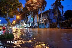 Tuyến đường gần bờ kè sông Tiền (phường Long Châu) bị ngập nước. (Ảnh: Lê Thúy Hằng/TTXVN)