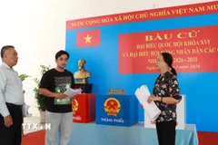 Bà Nguyễn Thị Phương Thảo, thành viên Tổ bầu cử số 1, phường Xuân Hòa, Thành phố Hồ Chí Minh từng có 4 lần tham gia công tác chuẩn bị cho bầu cử tại địa phương. (Ảnh: Hữu Duyên/TTXVN)