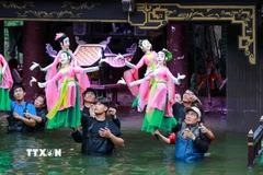 Nhà hát múa rối Việt Nam đã có nhiều đổi mới sáng tạo trong việc kết hợp múa rối cạn biểu diễn tại múa rối nước mang lại những tiết mục nghệ thuật đặc sắc tới khán giả. (Ảnh: Khánh Hòa/TTXVN)