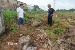 Mộ, mả bị hư hại trong quá trình cưỡng chế giải phóng mặt bằng Cụm công nghiệp Minh Hải 1. (Ảnh: Mạnh Khánh/TTXVN)