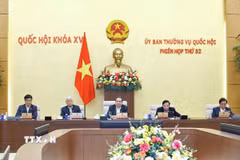 Chủ tịch Quốc hội Trần Thanh Mẫn phát biểu. (Ảnh: Doãn Tấn/TTXVN)