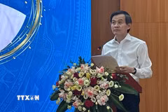 Phó Giáo sư-Tiến sỹ Đoàn Minh Huấn, Ủy viên Bộ Chính trị, Giám đốc Học viện Chính trị quốc gia Hồ Chí Minh phát biểu. (Ảnh: Thanh Hương/TTXVN)