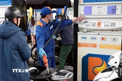 Khách hàng mua bán xăng, dầu tại một điểm kinh doanh xăng dầu của Petrolimex trên địa bàn Hà Nội. (Ảnh: Trần Việt/TTXVN)