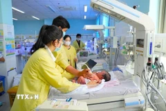 Ảnh minh họa. (Ảnh: Công Mạo/TTXVN)