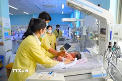 Ảnh minh họa. (Ảnh: Công Mạo/TTXVN)
