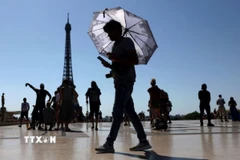 Trời nắng gay gắt tại Paris, Pháp. (Ảnh: Reuters/TTXVN)