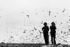 Bộ đội Hải quân trên đảo Trường Sa được giải phóng, ngày 29/4/1975. (Ảnh: Nguyễn Khắc Xuế/TTXVN phát)