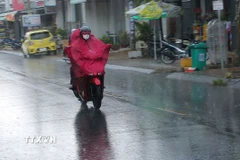Ảnh minh họa. (Ảnh: Tuấn Phi/TTXVN)