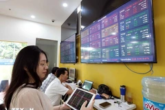 Khách hàng giao dịch chứng khoán. (Ảnh: Trần Việt/TTXVN)