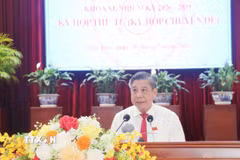 Ông Đồng Văn Thanh, Ủy viên BCH Trung ương Đảng, Phó Bí thư Thường trực Thành ủy, Chủ tịch HĐND thành phố Cần Thơ phát biểu. (Ảnh: Ngọc Thiện/TTXVN)