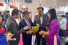 Công ty Nghiệp Xuân giới thiệu sản phẩm sầu riêng tươi. (Ảnh: Ngọc Thúy/TTXVN)