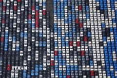 Nhật Bản đã nhập khẩu 111.513 xe do các nhà sản xuất ôtô Nhật Bản sản xuất từ nước ngoài vào năm 2025. (Ảnh: Kyodo/TTXVN)