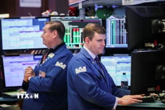 Giao dịch viên tại sàn chứng khoán New York, Mỹ. (Ảnh: THX/TTXVN)