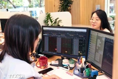 Khách hàng giao dịch chứng khoán. (Ảnh: Trần Việt/TTXVN)