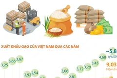 Xuất khẩu gạo đạt kỷ lục cả về lượng và giá trị trong năm 2024