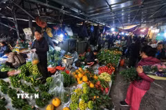 Hoa quả trở về giá ngày thường. (Ảnh: Tuấn Anh/TTXVN)