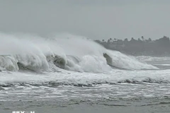 Ảnh minh họa. (Ảnh: Phạm Cường/TTXVN)