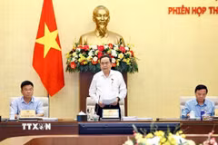 Chủ tịch Quốc hội Trần Thanh Mẫn, Chủ tịch Ủy ban dự thảo sửa đổi, bổ sung một số điều của Hiến pháp năm 2013 phát biểu. (Ảnh: Doãn Tấn/TTXVN)