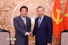 Tổng Bí thư Tô Lâm tiếp ông Sugi Ryotaro, nguyên Đại sứ đặc biệt Việt Nam-Nhật Bản. (Ảnh: Văn Điệp/TTXVN)