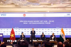 Tổng Bí thư, Chủ tịch nước Tô Lâm tại Diễn đàn. (Ảnh: Thống Nhất/TTXVN)