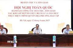 Bộ trưởng Bộ Dân tộc và Tôn giáo Đào Ngọc Dung phát biểu. (Ảnh: Minh Đức/TTXVN)
