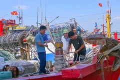 Ngư dân tại Cảng cá Ninh Cơ chằng buộc tàu thuyền cẩn thận tránh va đập khi bão vào. (Ảnh: Công Luật/TTXVN)