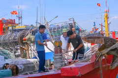 Ngư dân tại Cảng cá Ninh Cơ chằng buộc tàu thuyền cẩn thận tránh va đập khi bão vào. (Ảnh: Công Luật/TTXVN)