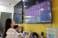 Khách hàng giao dịch chứng khoán. (Ảnh: Trần Việt/TTXVN)