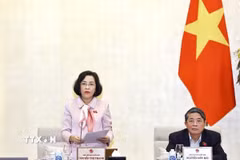 Phó Chủ tịch Quốc hội Nguyễn Thị Thanh phát biểu. (Ảnh: Doãn Tấn/TTXVN)