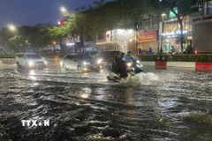 Ảnh minh họa. (Ảnh: An Đăng/TTXVN)