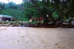 Ảnh minh họa. (Ảnh: TTXVN phát)