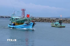 Tàu cá trên cửa sông Dương Đông, thành phố Phú Quốc (Kiên Giang). (Ảnh: Lê Huy Hải/TTXVN)