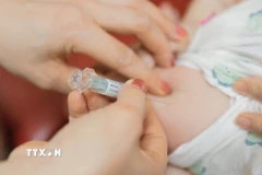 Ảnh minh họa. (Ảnh: Minh Quyết/TTXVN)