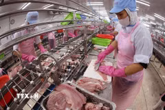 Chế biến thực phẩm xuất khẩu. (Ảnh minh họa: Vũ Sinh/TTXVN)