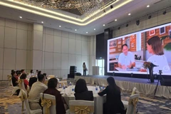 Hội thảo Bao bì và Thương hiệu Xuất khẩu 2025-Từ xu hướng đến thực hiện. (Ảnh: PV/Vietnam+)