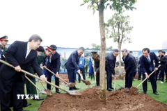 Tổng Bí thư Tô Lâm và các đại biểu tham gia trồng cây tại Lễ phát động “Tết trồng cây đời đời nhớ ơn Bác Hồ” Xuân Bính Ngọ 2026. (Ảnh: Thống Nhất/TTXVN)